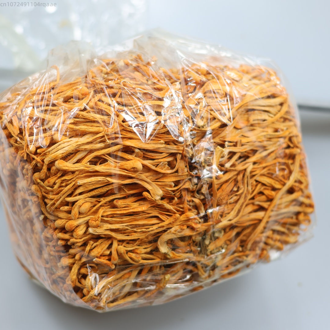 Flor de Cordyceps seca Natural - Soap Making Diy Kit reseña y precio