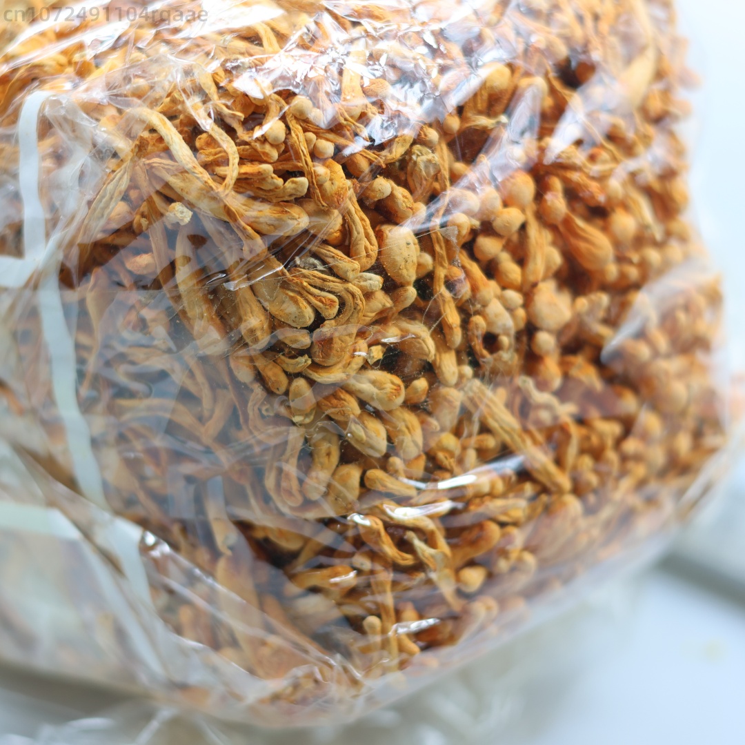 Flor de Cordyceps seca Natural - Soap Making Diy Kit reseña y precio